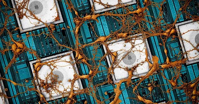 Samsung muốn làm chip sao chép não người