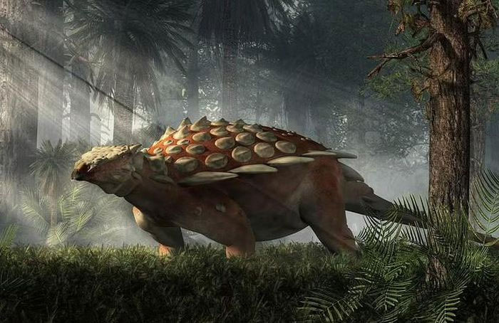 Chân dung một con ankylosaur