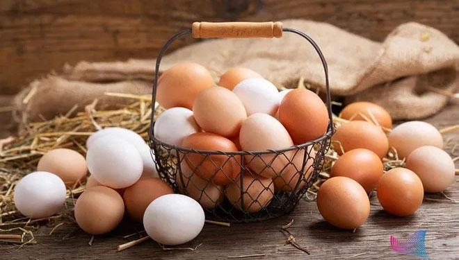 Liều lượng chất dinh dưỡng có trong các sản phẩm trứng khác nhau có rất ít sự khác biệt.