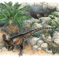 Phát hiện khủng long "rồng" xứ Wales, kích thước bằng một con gà