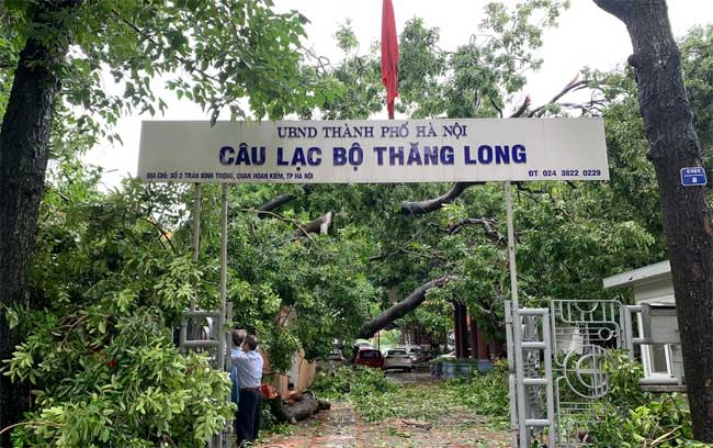Hà Nội: Bão số 7 gây mưa lớn cả ngày, nhiều cây xanh bật gốc, đè bẹp “xế hộp” Camry