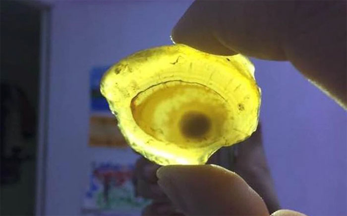 Cảm giác bị nhìn trộm khi đang lội nước, chàng trai quơ đại liền hốt hoảng vì bắt được 