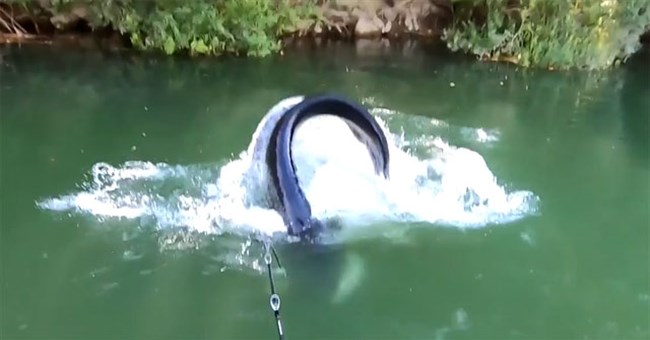 Video: Thả câu trong hồ nước xanh, người đàn ông kinh ngạc khi kéo lên "quái vật hồ Loch Ness"