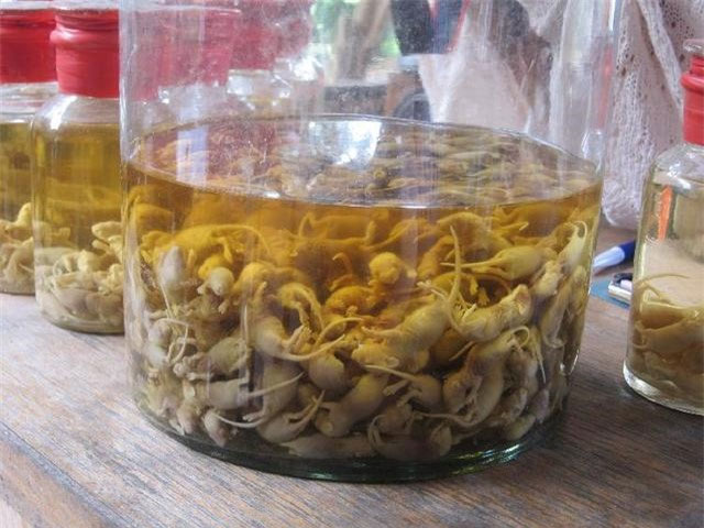 Phát hiện bình rượu giữa lăng mộ hoàng tử: Đội khảo cổ vừa mở nắp đã thót tim vì 3 sinh vật bên trong!