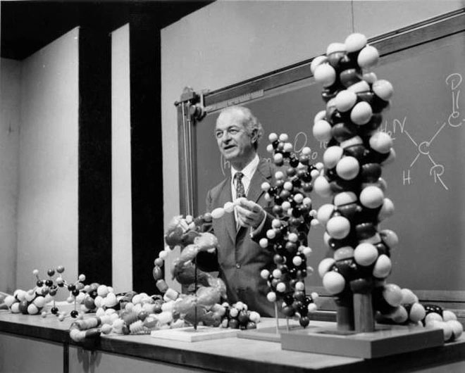 Linus Pauling thuyết trình bên cạnh các mô hình phân tử năm 1960.