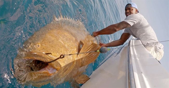 Ngôi sao bóng bầu dục cũng "toát mồ hôi hột" khi kéo lên "quái vật" ăn thịt cả cá mập này