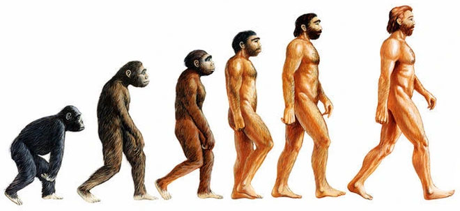 Thuyết tiến hóa của Darwin