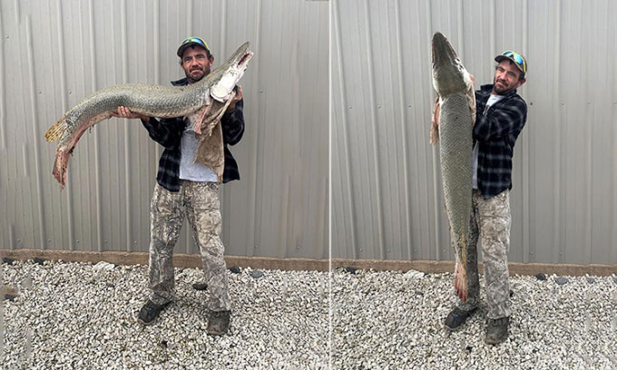  Cần thủ Danny Smith bắt được cá láng lớn Bắc Mỹ trên sông Neosho. 