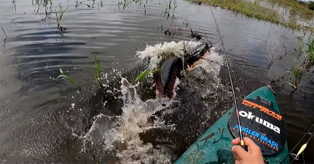 Video: Thả câu giữa vùng nước vắng, người đàn ông bất ngờ kéo lên thuyền con cá 