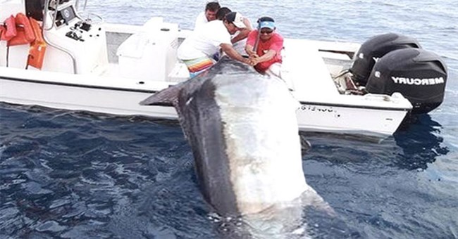 Video: Ba người đàn ông vật lộn với chiếc cần câu cong vút, bất ngờ với kích thước con cá khi kéo lên