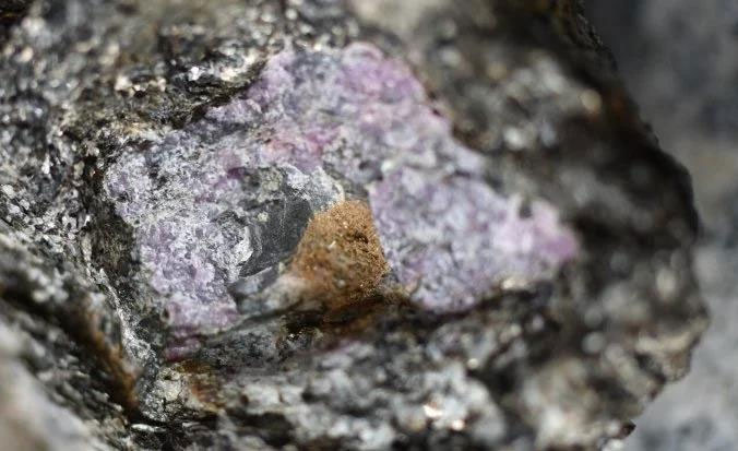 Viên hồng ngọc quý nhất thế giới: giam lỏng sinh vật 2,5 tỉ tuổi