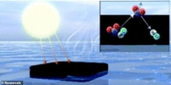 Phân bò giúp lọc nước biển thành nước tinh khiết
