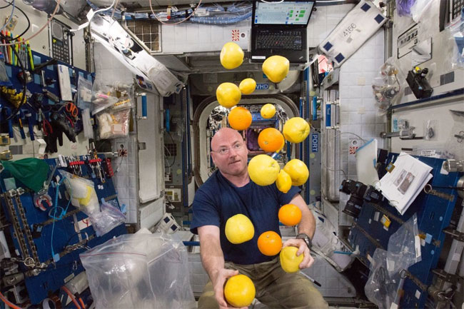Ý tưởng độc đáo chiến thắng cuộc thi về thức ăn trong không gian của NASA
