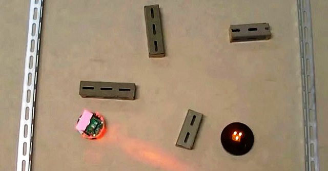 Robot biết "tư duy" được phát triển từ tế bào não đầu tiên trên thế giới
