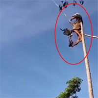 Cư dân mạng tròn mắt khi xem video người đàn ông trổ tài "câu chim" trên trời
