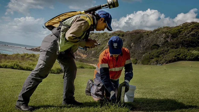 Gần 13 triệu USD và 44 tấn chất độc không đủ để bảo vệ hòn đảo 14,5 km2 khỏi loài chuột