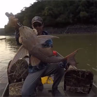 Video: Thả câu dưới sông, người đàn ông bất ngờ kéo lên một sinh vật có "khuôn mặt quỷ"