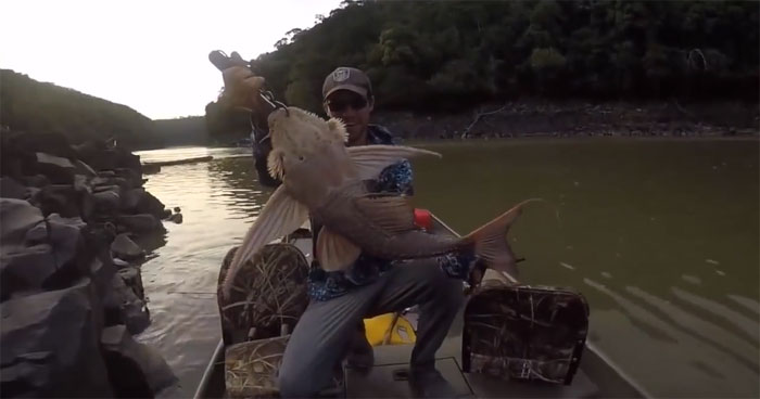 Video: Thả câu dưới sông, người đàn ông bất ngờ kéo lên một sinh vật có “khuôn mặt quỷ”