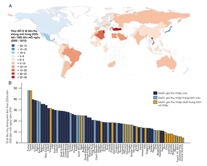 Việt Nam vào nhóm các nước có tỷ lệ kháng kháng sinh cao nhất.