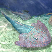 Hàng loạt bất ngờ về "quái ngư" tồn tại ở Việt Nam 415 triệu năm trước