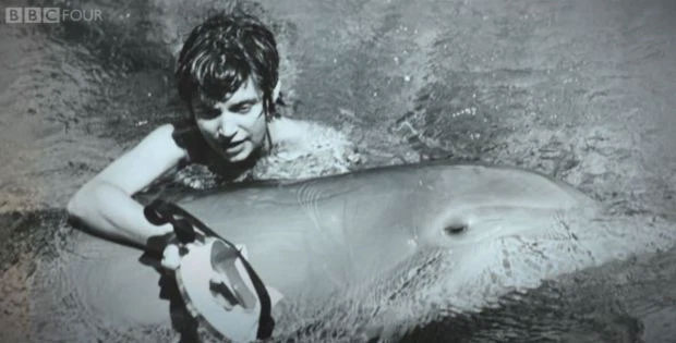 Peter và Margaret gặp nhau lần đầu khi thí nghiệm dạy tiếng Anh cho cá heo được diễn ra.