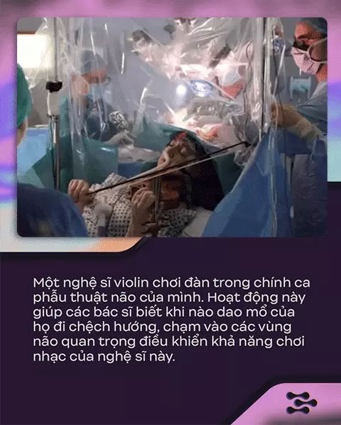 Đây là cách não bộ tạo ra 