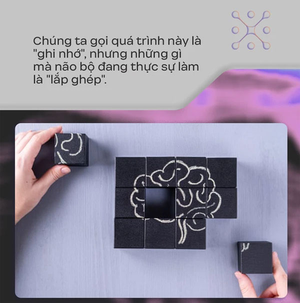 Đây là cách não bộ tạo ra 