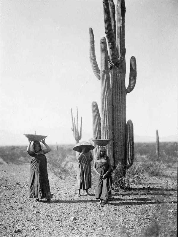 Ba người phụ nữ Maricopa đội một chiếc giỏ trên đầu