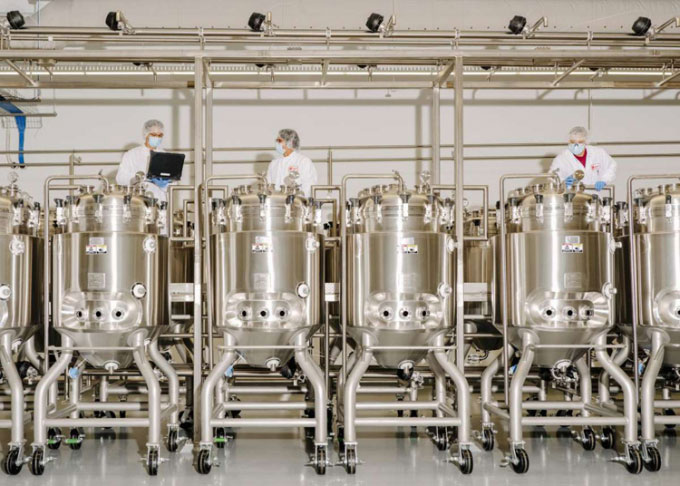 Nhà máy sản xuất 22.600 kg thịt nhân tạo mỗi năm