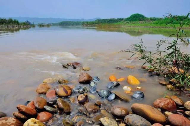 Vì sao dân Trung Quốc đổ xô săn 