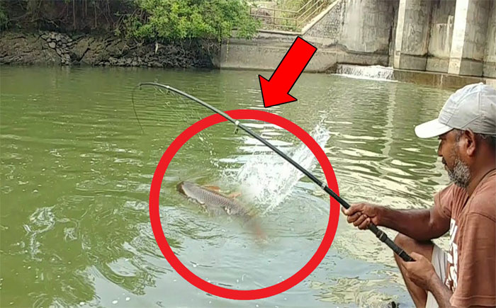 The man continuously pulls up large fish.