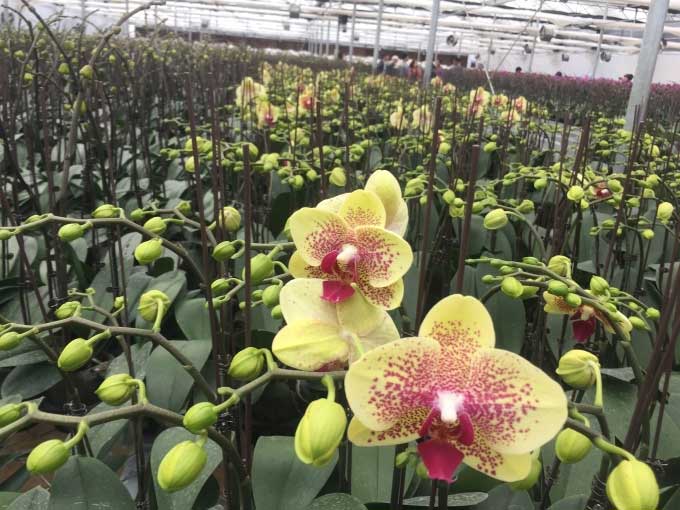 Nhà khoa học dùng công nghệ 