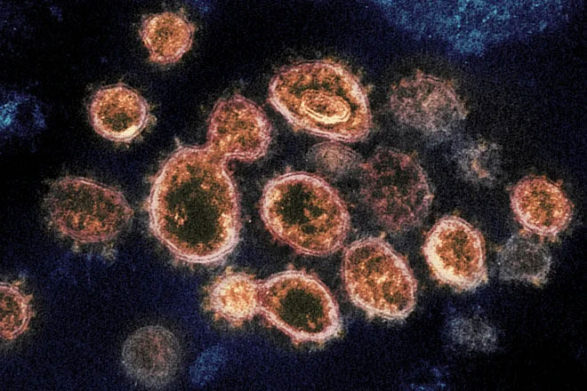 Cách biến chủng Delta, Kappa qua mặt vaccine Covid-19