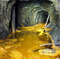 Sau mỏ kim cương "khủng", Nga lại phát hiện thêm mỏ vàng có trữ lượng lớn nhất thế giới