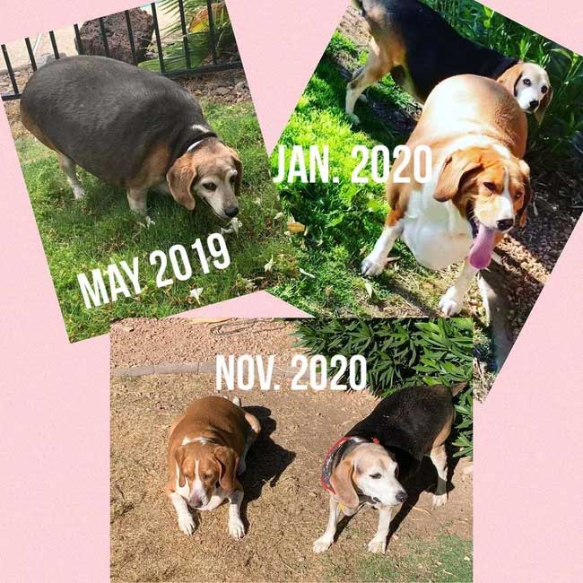 The amazing transformation of Wolfgang.