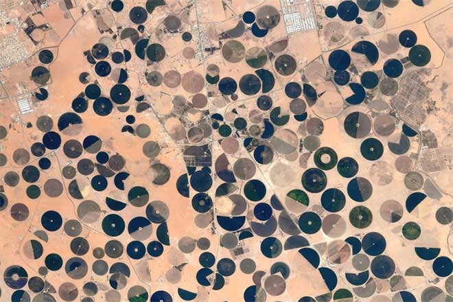 Khi bay qua lục địa châu Phi, Pesquet đã chụp những cánh đồng hình tròn nằm giữa sa mạc.