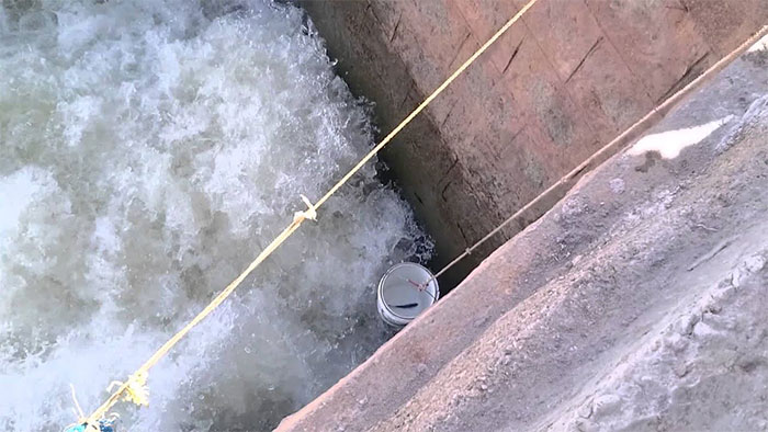 Fish thrown up by the strong current and falling into the bucket.