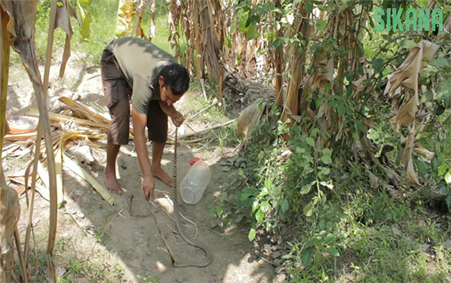 Giải mã toàn bộ ngôn ngữ cơ thể giúp chuyên gia 