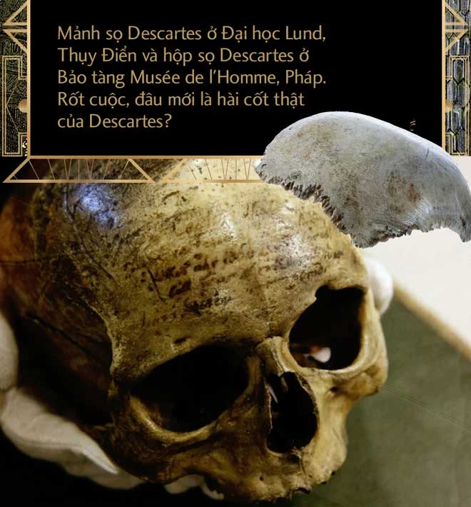 Bí ẩn vụ trộm hộp sọ René Descartes: Hài cốt của ông đã ở đâu sau hơn 300 năm lưu lạc?