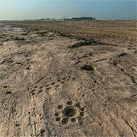 Giải mã bức chạm khắc "bí ẩn" trên sa mạc tại Qatar