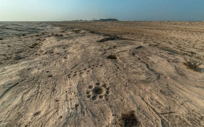 Các nhà khảo cổ tìm thấy khoảng 900 tác phẩm chạm khắc trên đá tại Al Jassasiya.