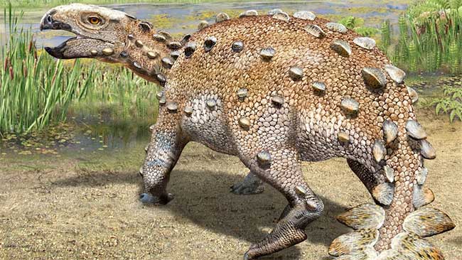 Chile phát hiện loài khủng long “bọc thép” mới có chiếc đuôi kỳ lạ