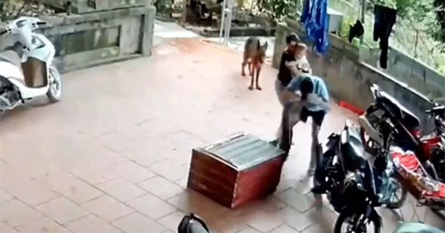Người đàn ông bất ngờ bị con trăn "khủng" cắn thẳng vào mặt, quá trình giải cứu căng thẳng tột độ