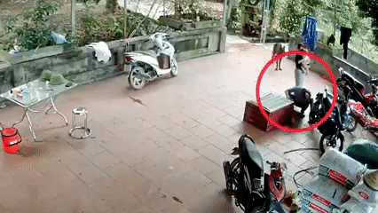 Người đàn ông bất ngờ bị con trăn 