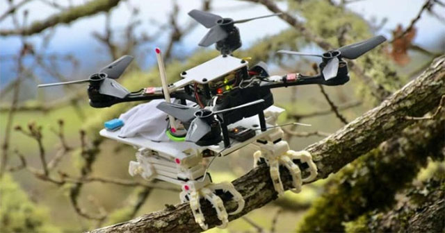 Robot đã có đôi chân kỳ diệu của loài chim, có thể đậu trên cành cây, quắp đồ như "hàng thật"