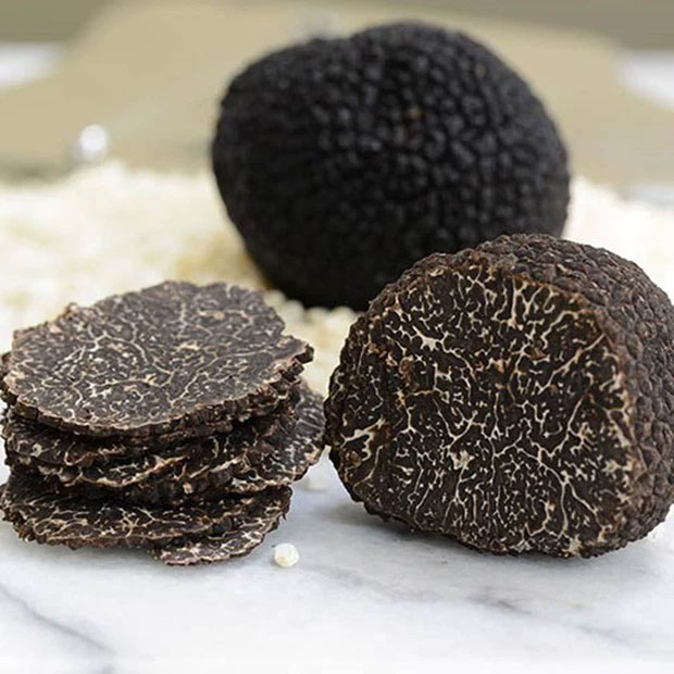 Lý do nào khiến nấm truffle siêu đắt đỏ, hầu như chỉ dành cho giới thượng lưu?