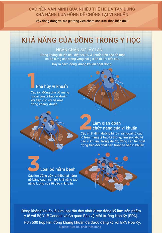 Đồng - Một trong số ít kim loại có khả năng kháng khuẩn