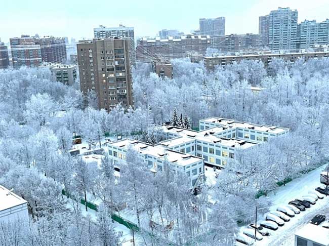 Nhìn từ trên cao, hàng cây đầy tuyết trắng bao trọn một ngôi trường.