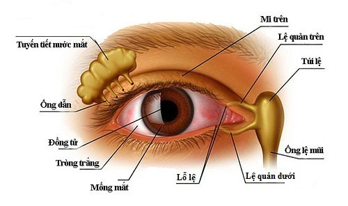 6. Cách làm nước muối sinh lý tại nhà