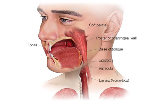 Cát bụi bay vào mắt sẽ đi về đâu khi chúng ta chớp mắt?